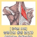 필라테스얼라이브