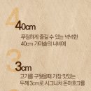 풍미에프앤씨