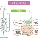 대전섬유 이미지