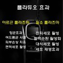 닥터화이트