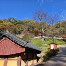 장곡사 | 손품발품) 충남 청양 칠갑산 천년고찰 단풍명소 '장곡사' 방문 후기