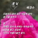 꽃.닢