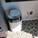 코델리아2 민박 | [금진/정동진 숙소추천] - 코델리아_일출 일몰 맛집