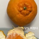 몽귤몽귤농원 이미지