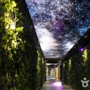 단양-단양-02 이미지