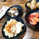 찬미회물회