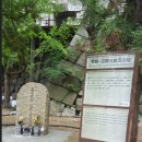 무덤의 흔적 이미지