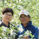 학송농장 이미지