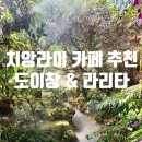 치앙마이 근교 치앙라이 자연속 도이창카페 신비로운 아바타느낌 라리타(lallita cafe)