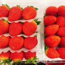 우아한과일 경희의료원점 이미지