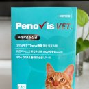 벳전문약국 이미지