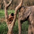 너 나 우리 이미지