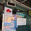 민어횟집 | 목포여행 필수코스 맛집 리스트 민어 회 영란횟집 현지인 찐 추천 내돈내산 솔직후기