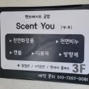 센츄(Scent You)
