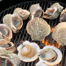 힐링메디칼 이미지