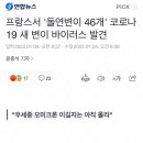 프랑스에서 “돌연변이 46개” 코로나 19 새 변이 바이러스 발견 이미지