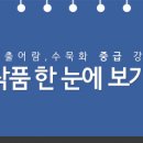 한국화(중급) 이미지