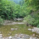 광원리 월둔교 이미지