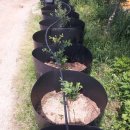 예성농장 이미지