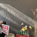 신동-107 이미지