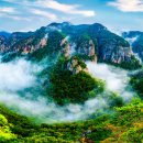 황금약수탕 | 청송여행 서늘한 여름 피서지 – 주왕산국립공원과 얼음골 트레킹