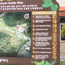 광주시립수목원 아기랑 다녀온 솔직후기