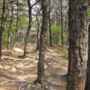 충숙근린공원 | 불암산 한글고비 뒷산(충숙공원) 산책길 봄