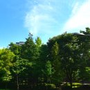 사기막골로 31번길 이미지