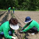 건양농장 이미지