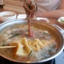 무한버섯나라 이미지