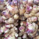 혜성농장 이미지