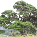 애찬펜션 이미지