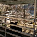 염소우리 이미지