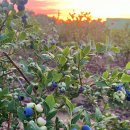 한양농원 이미지