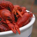 휴스턴 crawfish 이미지