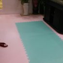 엔키즈어린이집 이미지