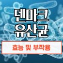 덴마크 유산균 효능 및 부작용, 완벽 가이드