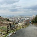 산복로 네이버블로그