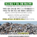 기룡인테리어 이미지