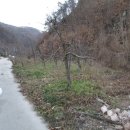 마령산해로(임동면) 이미지