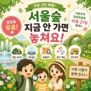 포레스트반디 | 서울숲 정원박람회 아이가 좋아하는 바닥분수·놀이터 | 아이랑 가면 좋은 동선 짜는 법