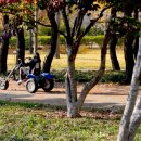 서울숲11 이미지