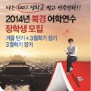 (주)다이스엔터테이먼트 | (후기)다이스그룹 인천 영종도 카지노 센터 건립에 대한 글을 읽어보고