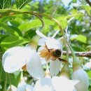 이동1통 이미지