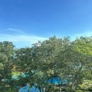 5672 | 해외원정수영-말레이시아 코타키나발루 더마젤란수트라호텔 50m풀 이용후기, 호텔추천