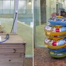 라온 아쿠아풀 이미지