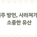 맨도롱또똣제주 이미지