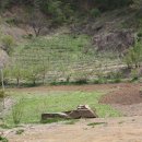 금봉산 농장 이미지