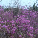 남목초교 이미지