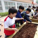 내곡초등학교 이미지